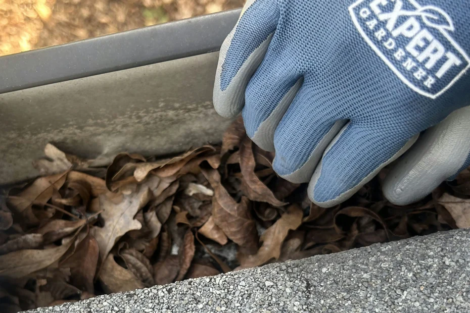 Gutter Cleaning Stanton