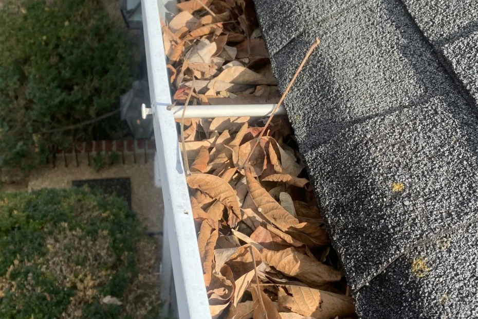 Gutter Cleaning Stanton